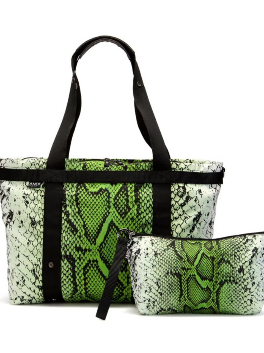 The ANDI - Chartreuse Snake (Signature Size)